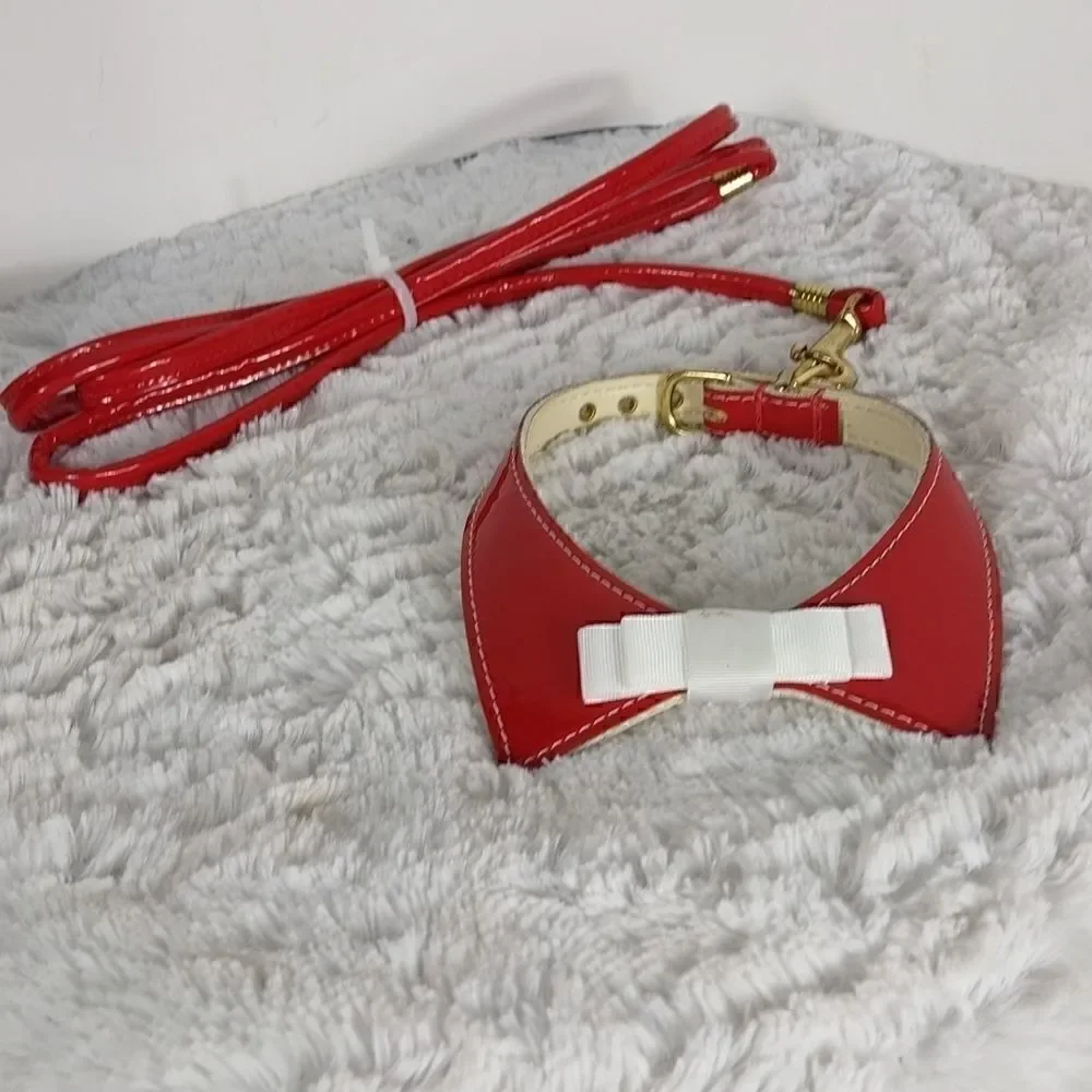 Red Collar & Leash 12